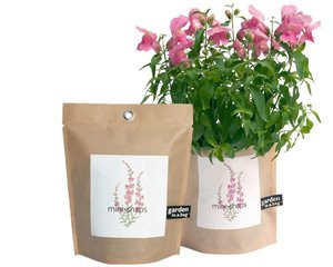 snapdragons growing in a bag